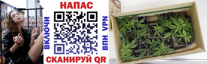 Виды наркоты Камышлов ГАШИШ  Alpha-PVP  МЕФ  Марихуана  Кокаин 