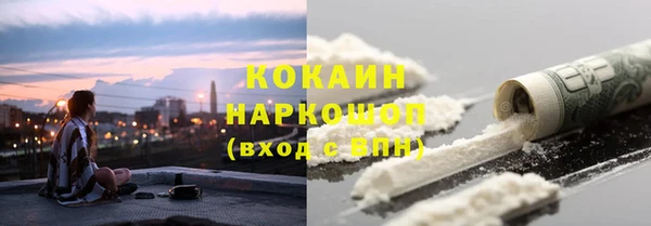 прущая мука Каменка