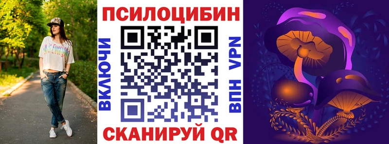 Галлюциногенные грибы Psilocybine cubensis  Камышлов 