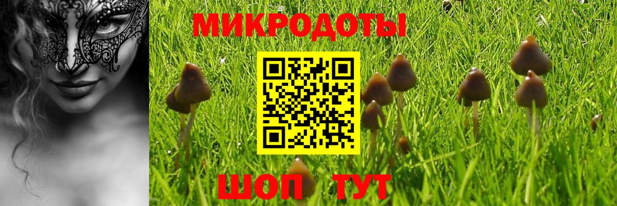 Псилоцибиновые грибы Psilocybine cubensis  Галлюциногенные грибы Magic Shrooms  Камышлов  Вход с VPN 