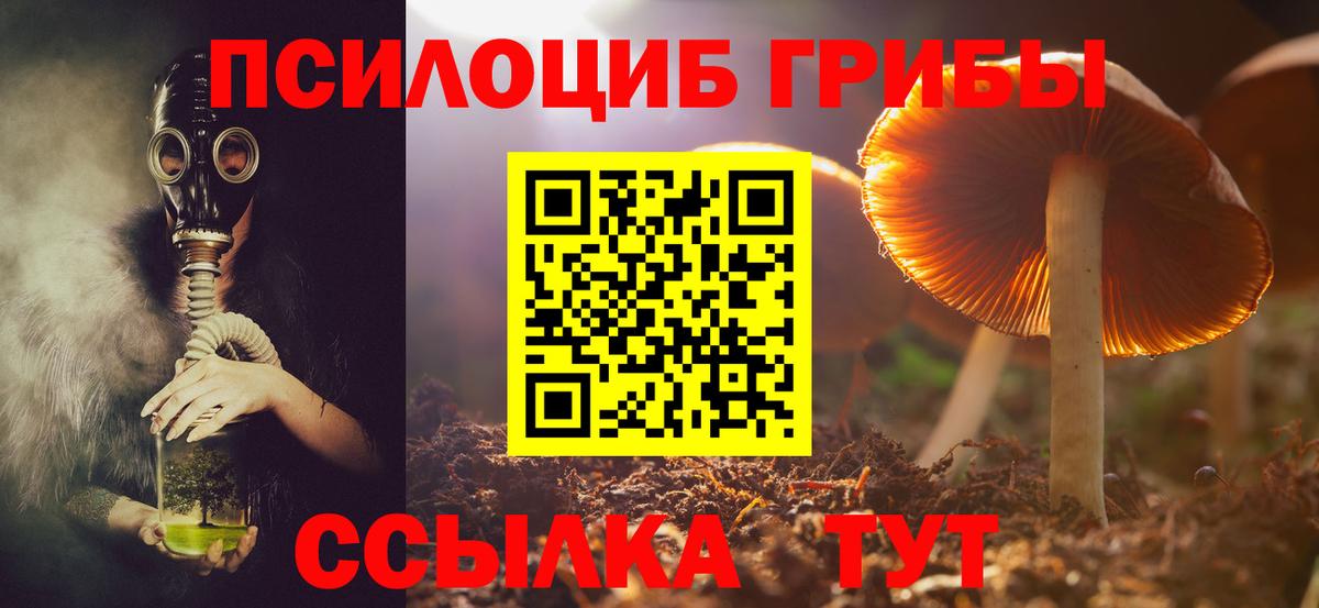 Псилоцибиновые грибы MAGIC MUSHROOMS Камышлов