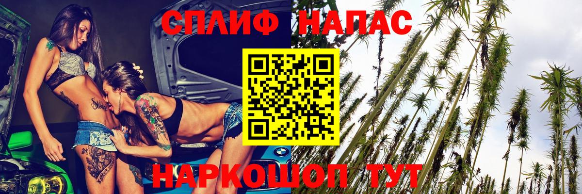 Каннабис MAZAR  Вход с VPN  Камышлов  МАРИХУАНА SATIVA & INDICA  Конопля сатива  Бошки марихуана SATIVA & INDICA 